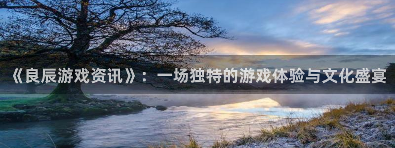 蓝冠娱乐注册测速：《良辰游戏资讯》：一场独特的游戏体验与文化