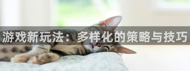 蓝冠娱乐娱乐：游戏新玩法：多样化的策略与技巧