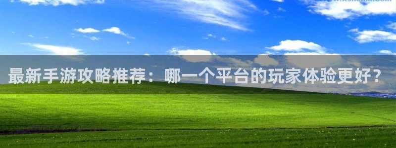 蓝冠娱乐测速登陆：最新手游攻略推荐：哪一个平台的玩家体验更好