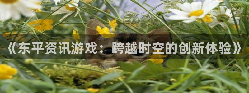 蓝冠娱乐娱乐：《东平资讯游戏：跨越时空的创新体验》