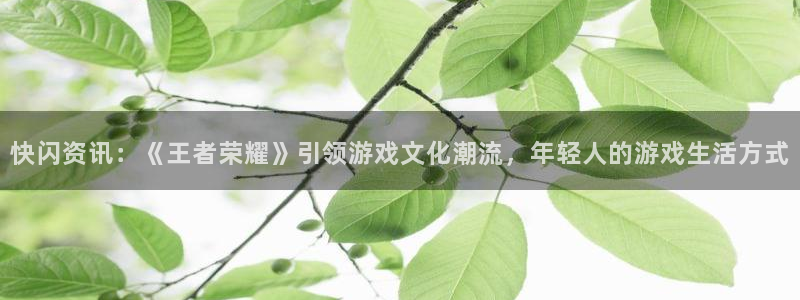蓝冠娱乐网址注册：快闪资讯：《王者荣耀》引领游戏文化潮流，年