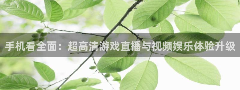 蓝冠娱乐注册平台：手机看全面：超高清游戏直播与视频娱乐体验升