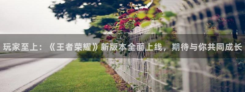 蓝冠娱乐登陆地址：玩家至上：《王者荣耀》新版本全面上线，期待